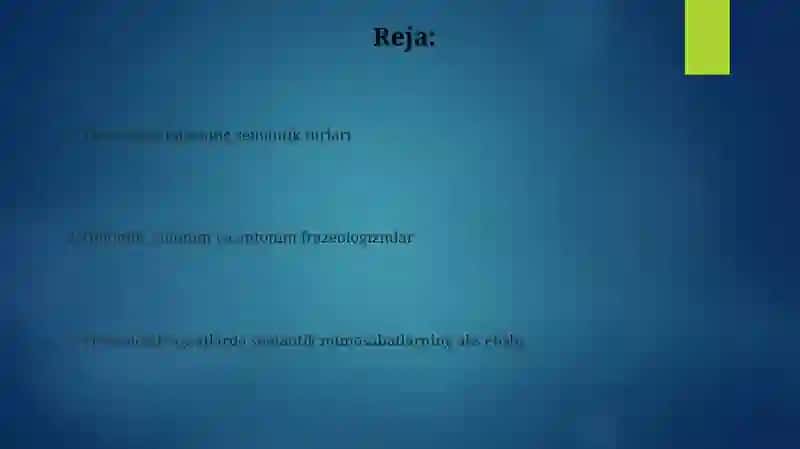 Frazeologizmlarning semantik turlari 2