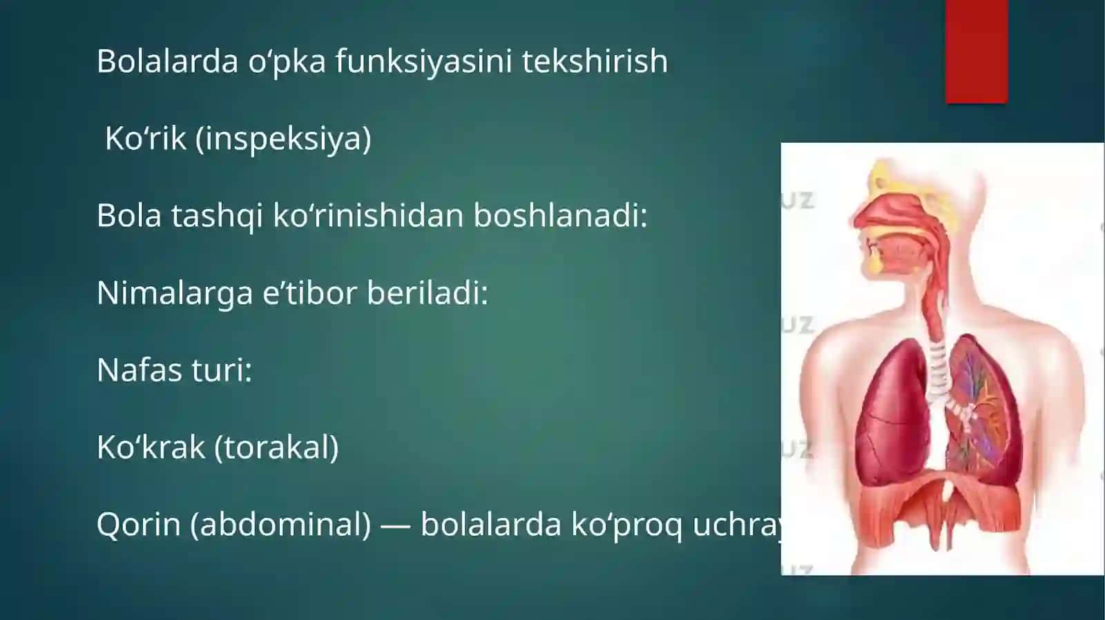 O'pka funktsiyasini tekshirish 2