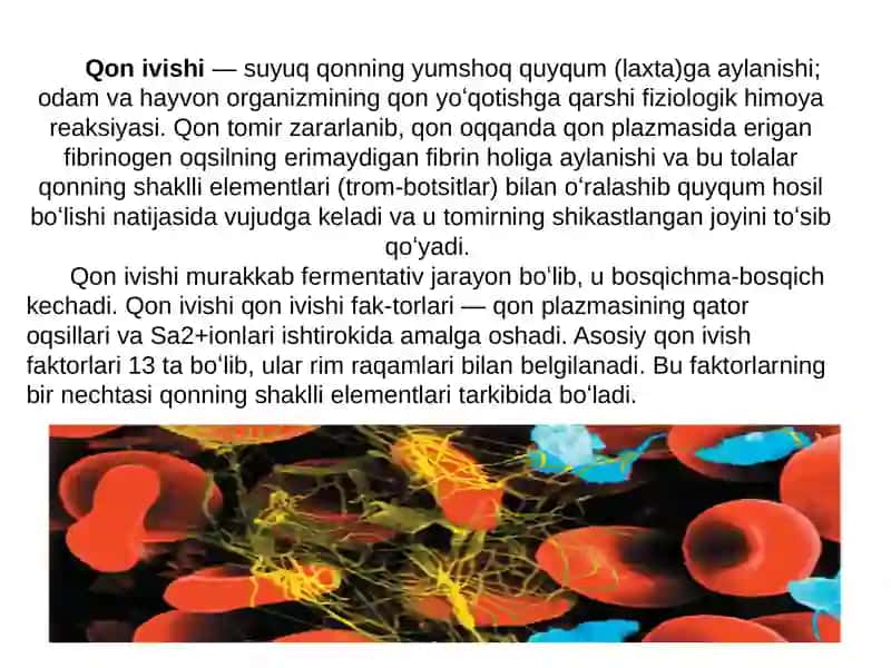 Normal qon ivish tizimi 2