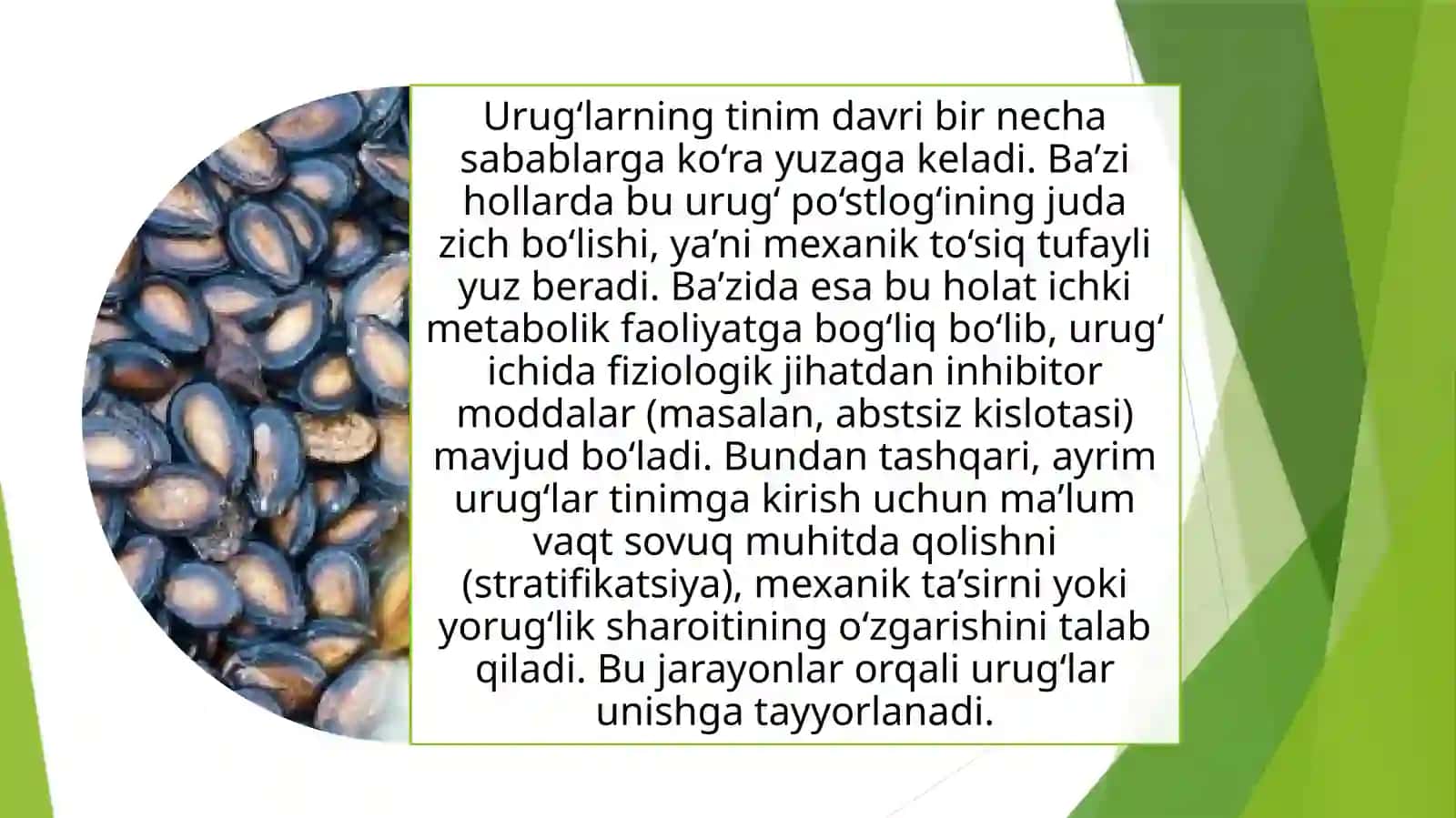 Urugʻlarni tinim davrida oʻrganish va “Yem-xashak hamda texnik oʻsimliklar introduksiyasi 2