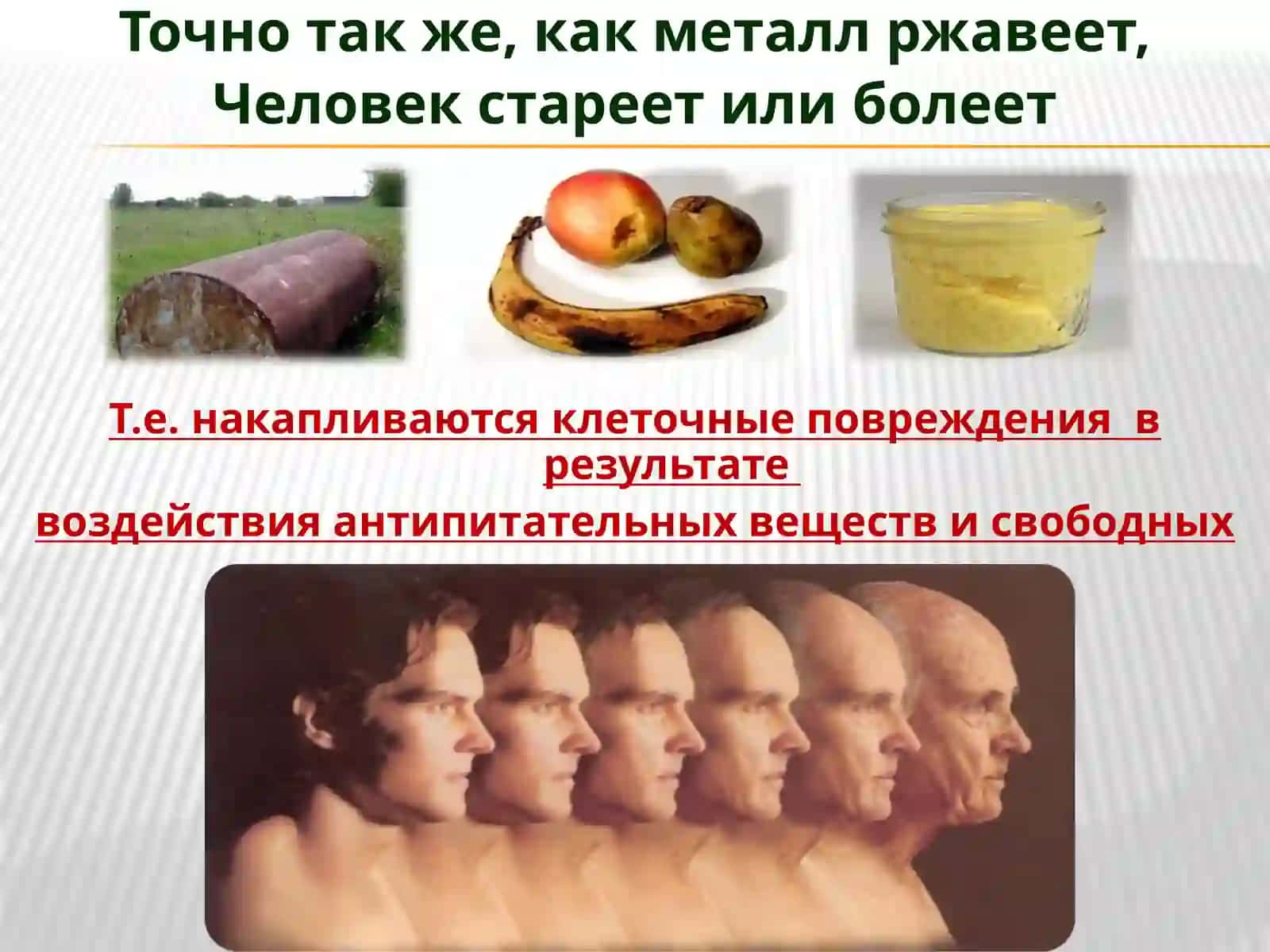 Antioksidant vitamin va minerallar 2