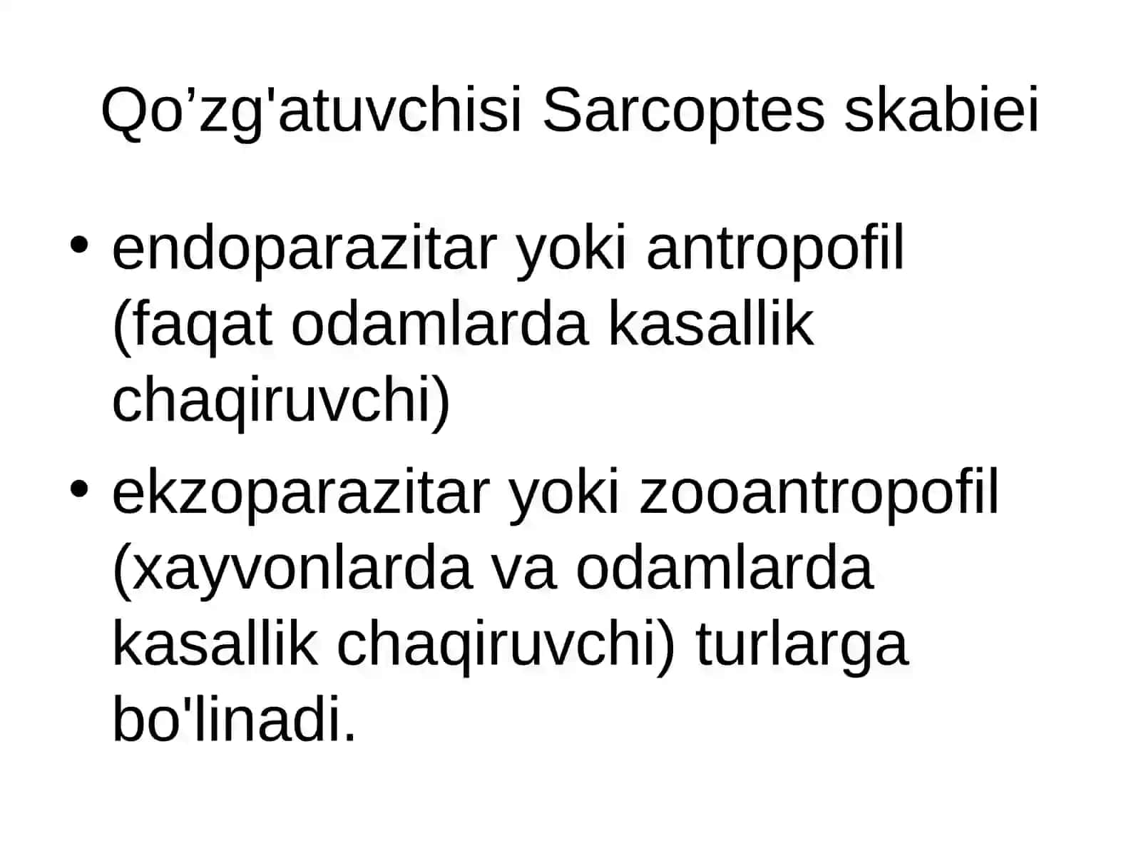 Qo'tir 2