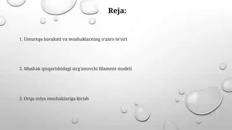 Sirpanuvchi ipchalar modeli 2