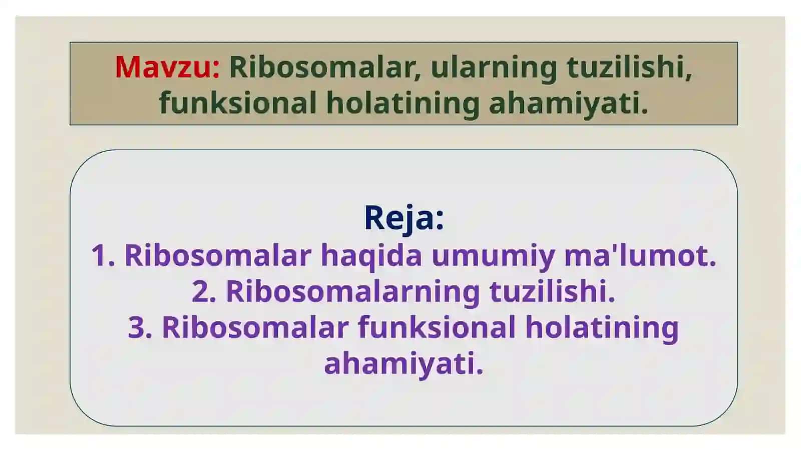 Ribosomalar, ularning tuzilishi, funksional holatining ahamiyati 2