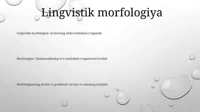 Morfologiya Uning Obyekti Va Predmeti 2