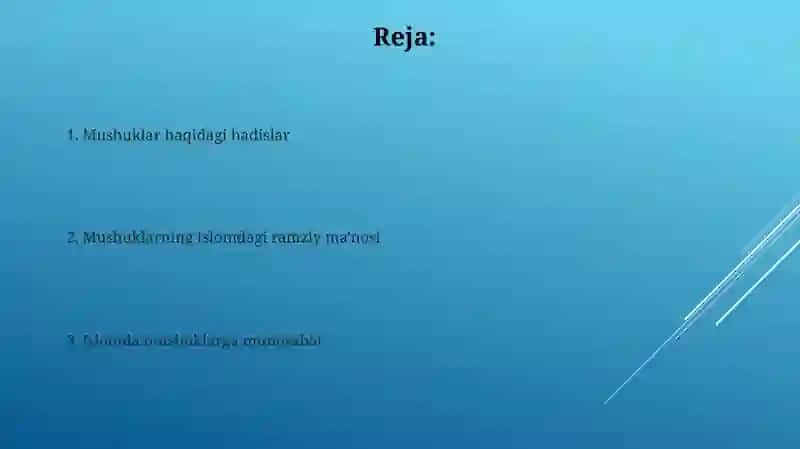 Mushuklar haqida 2