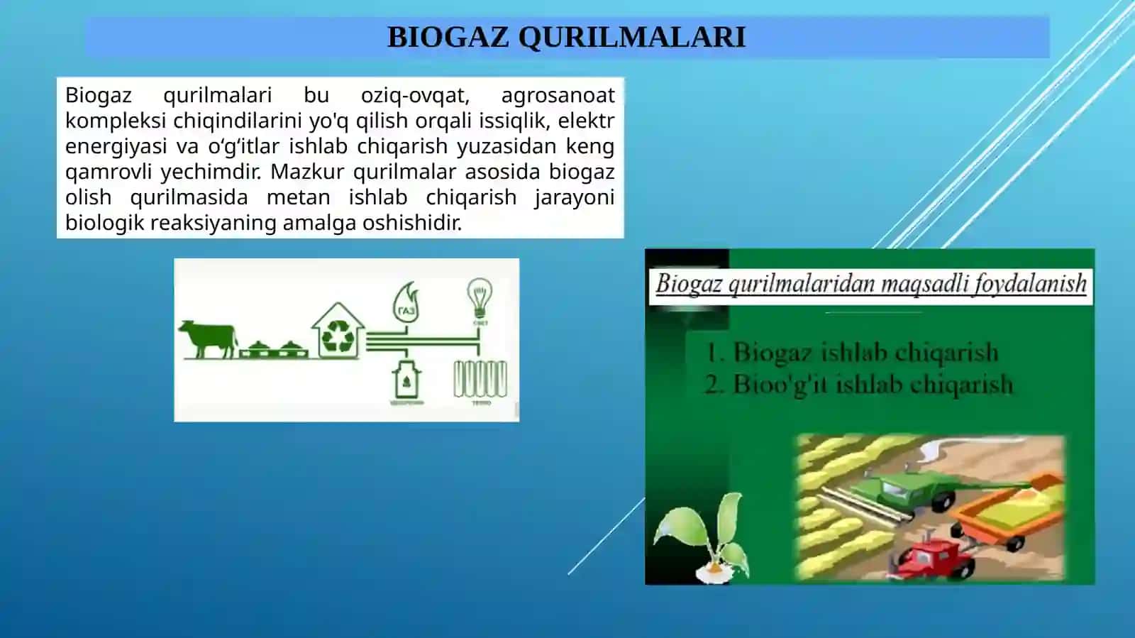 Biogaz qurilmasi (Chorvachilik komleksi uchun) 2