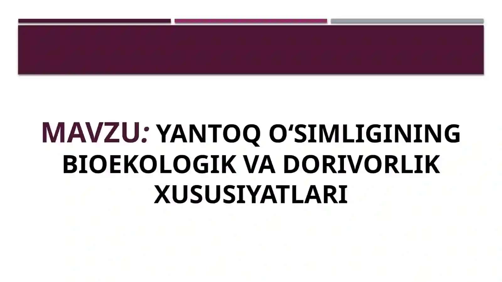 Yantoq oʻsimligining bioekologik va dorivorlik xususiyatlari 2