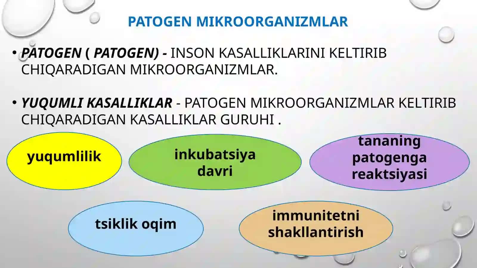 Ichakning yuqumli kasalliklari, zoonozlar, gelmintozlar va ularning oldini olish 2