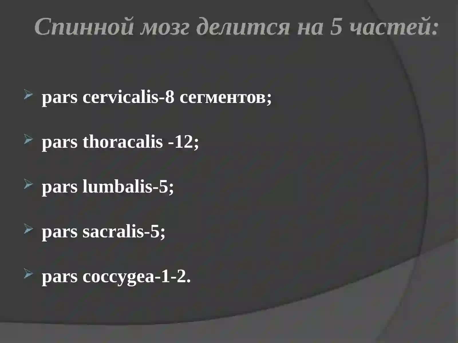 Асабсистемасининг клиника анатомияси 2
