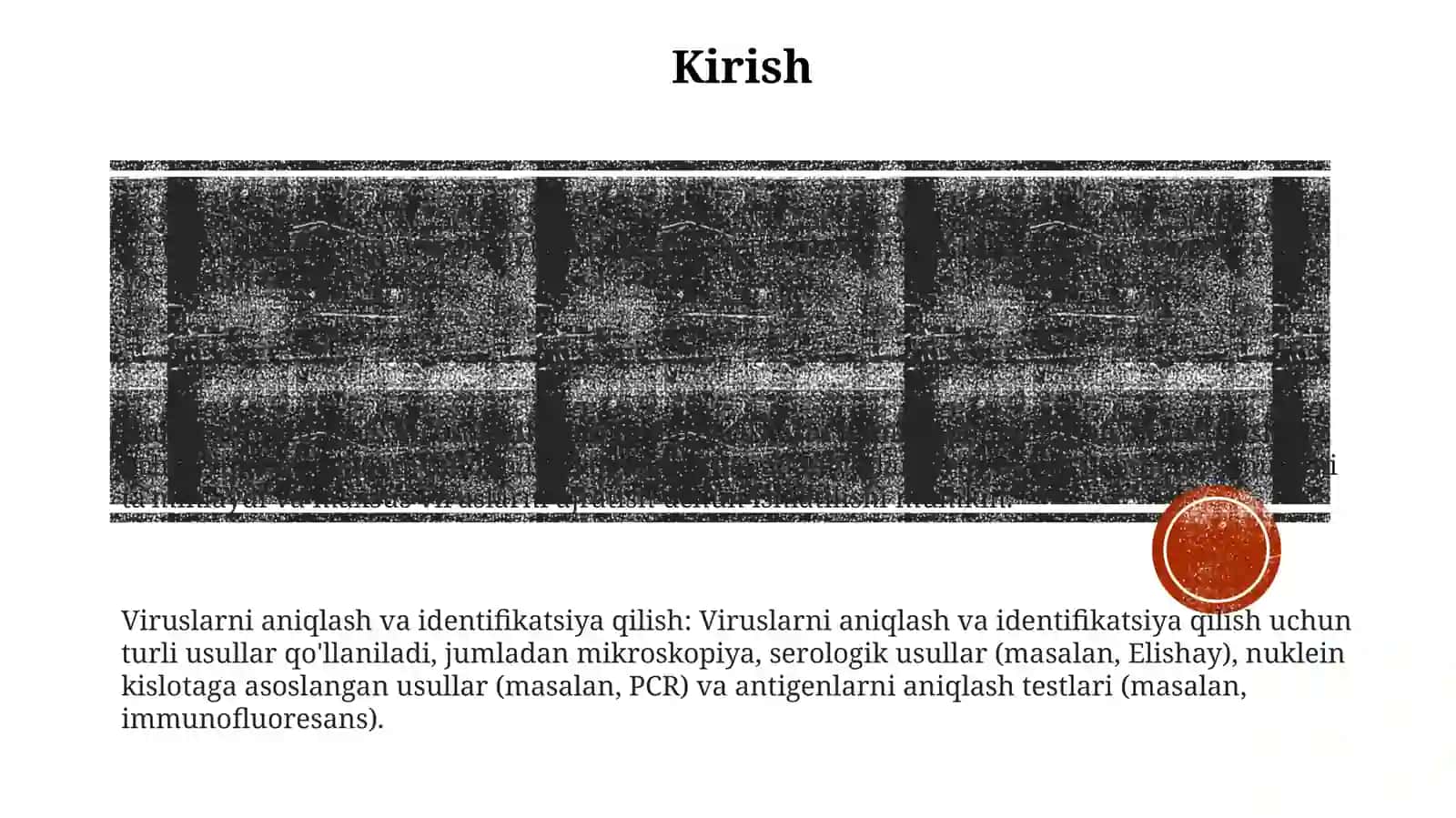 Viruslarni Ajratib Olishda Qo'Llaniluvchi Hujayra Kulturalari, Olinish Prisiplari, Qo'Llanishi. Viruslarni Indikasiya Va IdentifikasiyaQilishUsullari 2