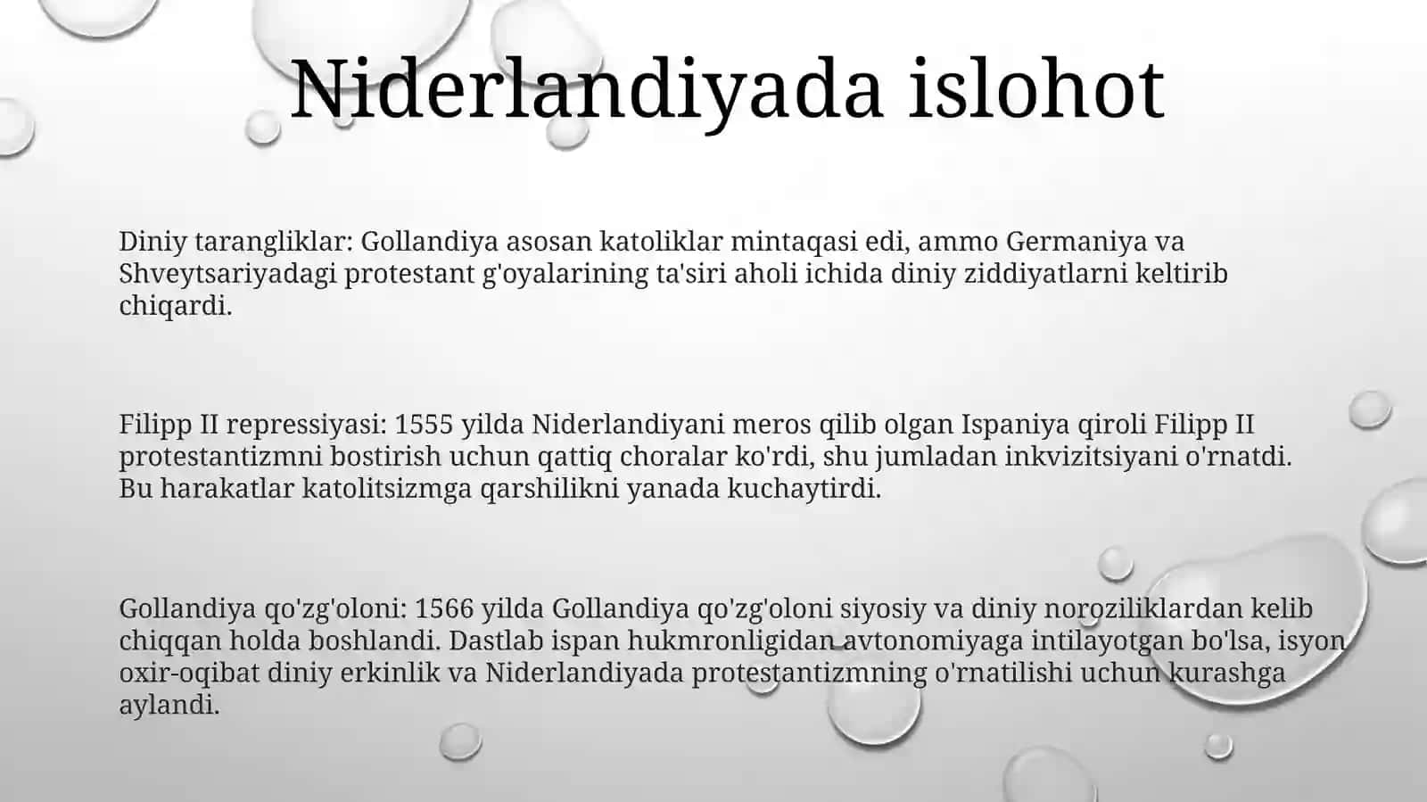 Nedirlandiyada Reformatsiya 2