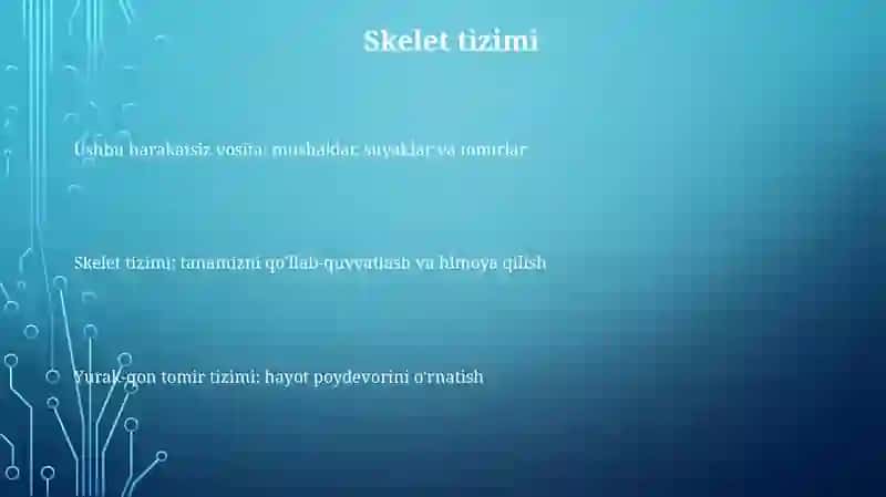 Suyaklar Sistemasi, Muskullar Yurak Va Qon Tomir Sistemalarining Tuzilishi Va Topografiyasi 2