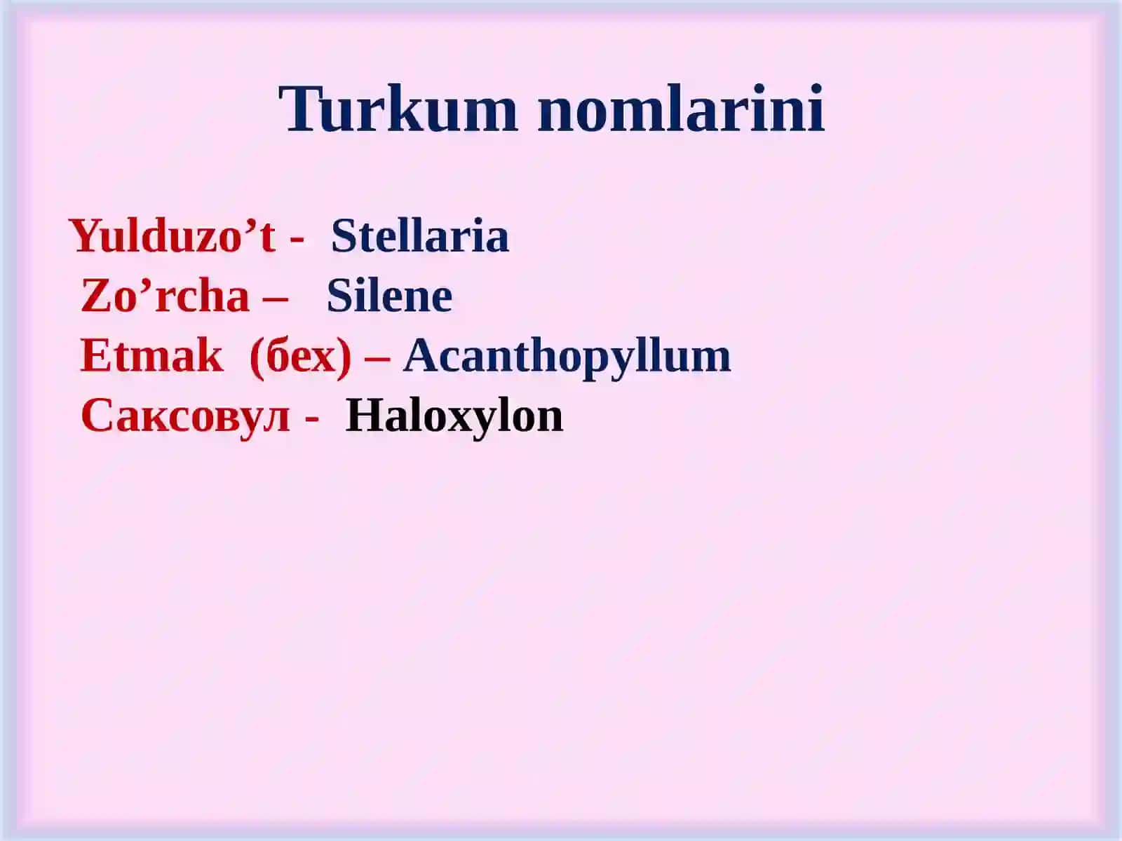 Chinnigulkabilar va chinniguldoshlar 2