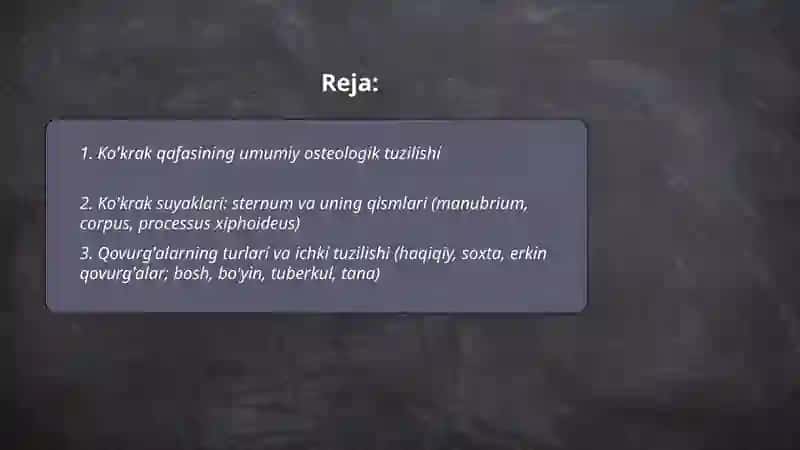 Kokrak qafasining anatomik tuzilishi 2