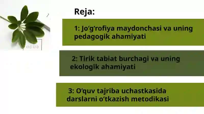 Jo‘g‘rofiya maydonchasi, tirik tabiat burchagi, o‘quv tajriba uchastkasida darslarni o‘tkazish metodikasi. Kuzatish va tajribalarni tashkil etish usullarini o‘rganish 2