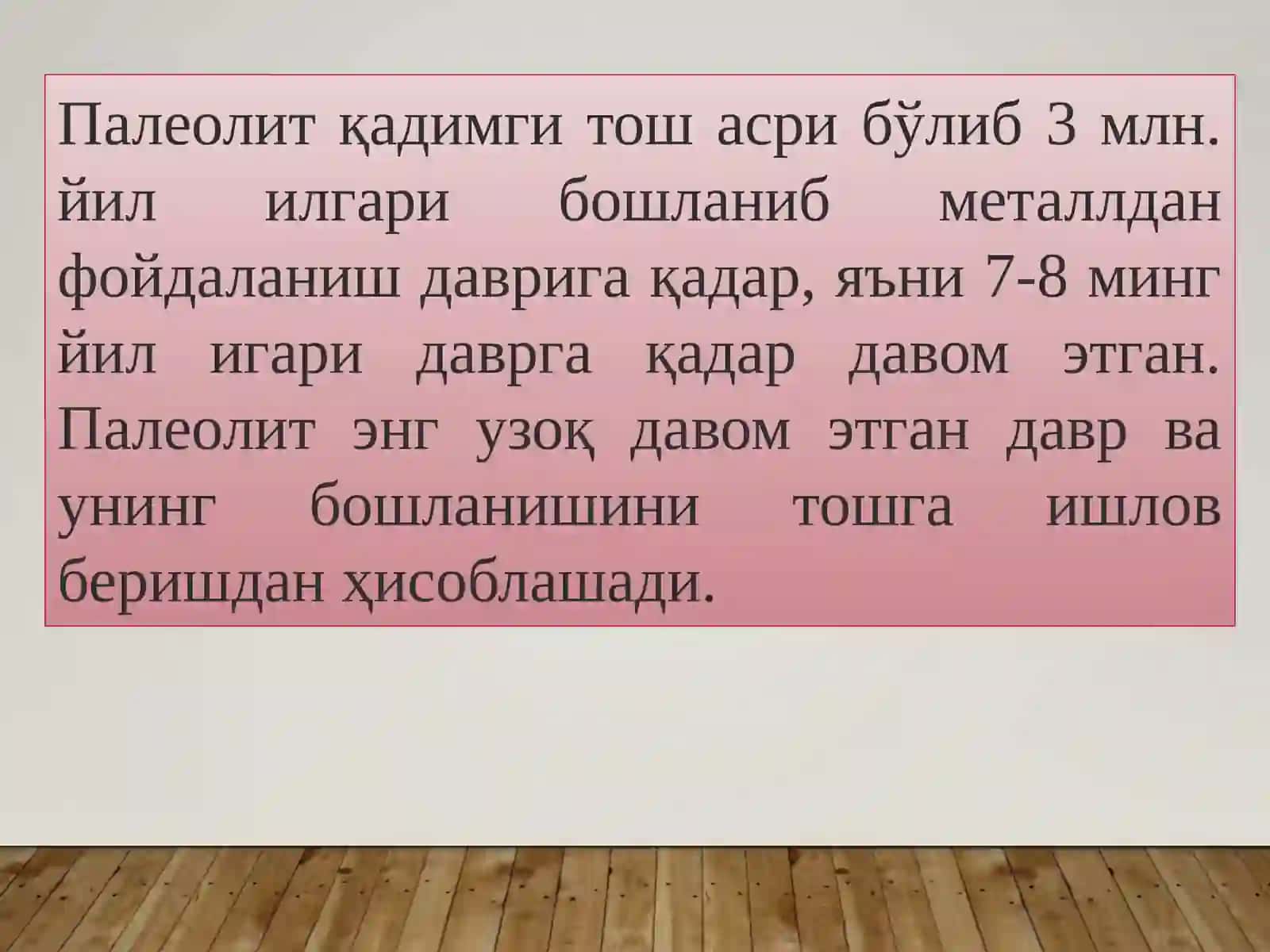 ПАЛЕОЛИТ (Тош асри) 2