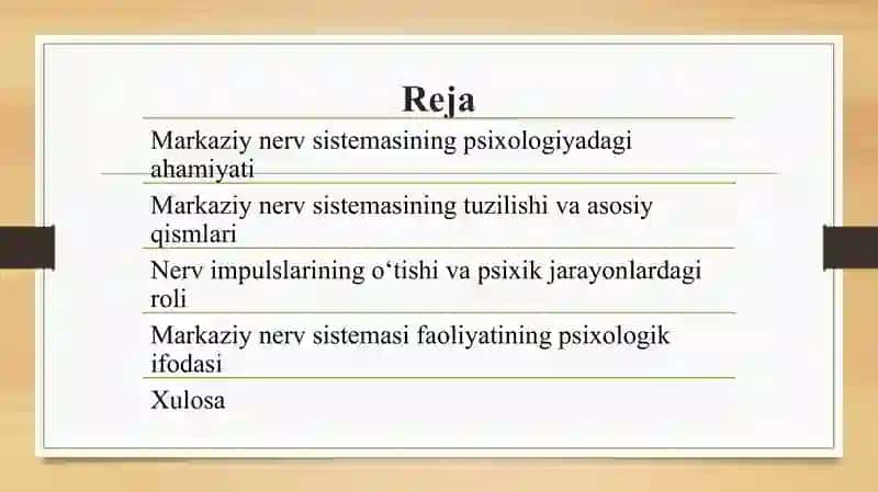 Markaziy nerv sistemasi 2