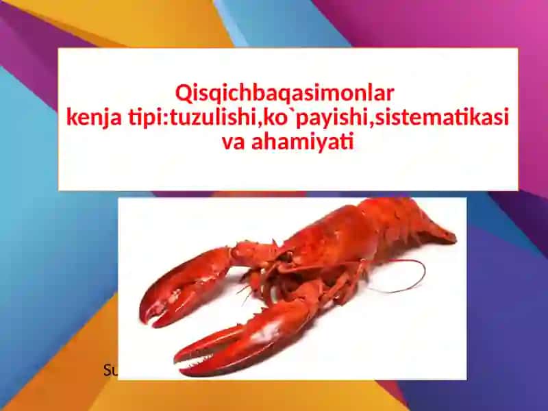 Biologiya talim, Zoologiya fanidan ta'limot 2