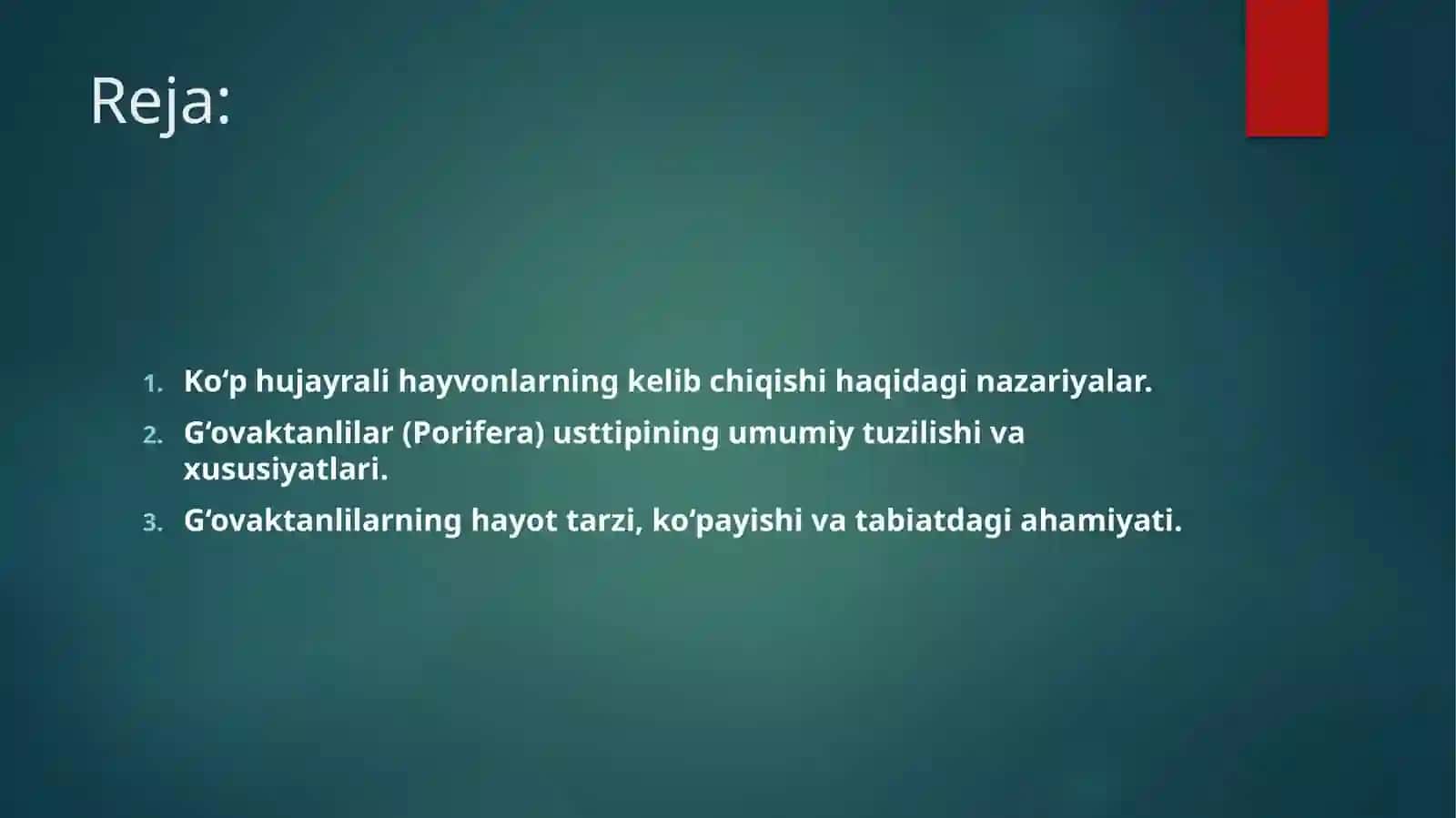 Ko'p hujayrali hayvonlarni kelib chiqishi muammolari. G'ovaktanlilar yoki Bulutlar (Porifera) usttipining umumiy ta'rifi 2