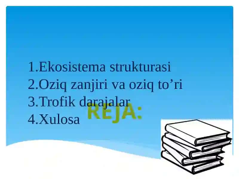Ekotizimlarning trofik strukturasi 2