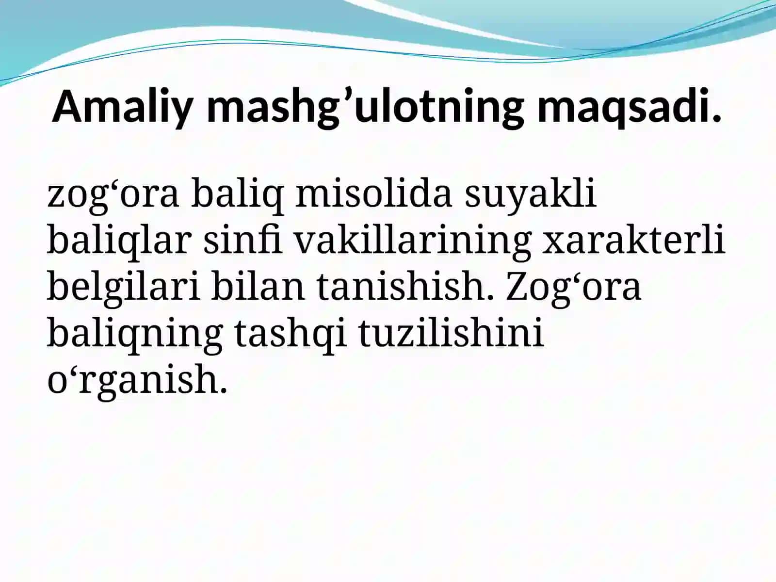 Osteichthyes 2