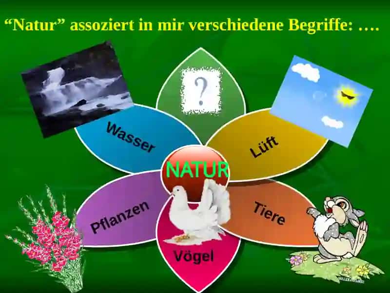 Ökologie 2