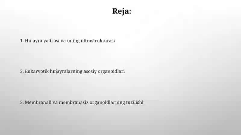 Eukaroit hujayralarning ultrastrukturaviy tuzilishi 2