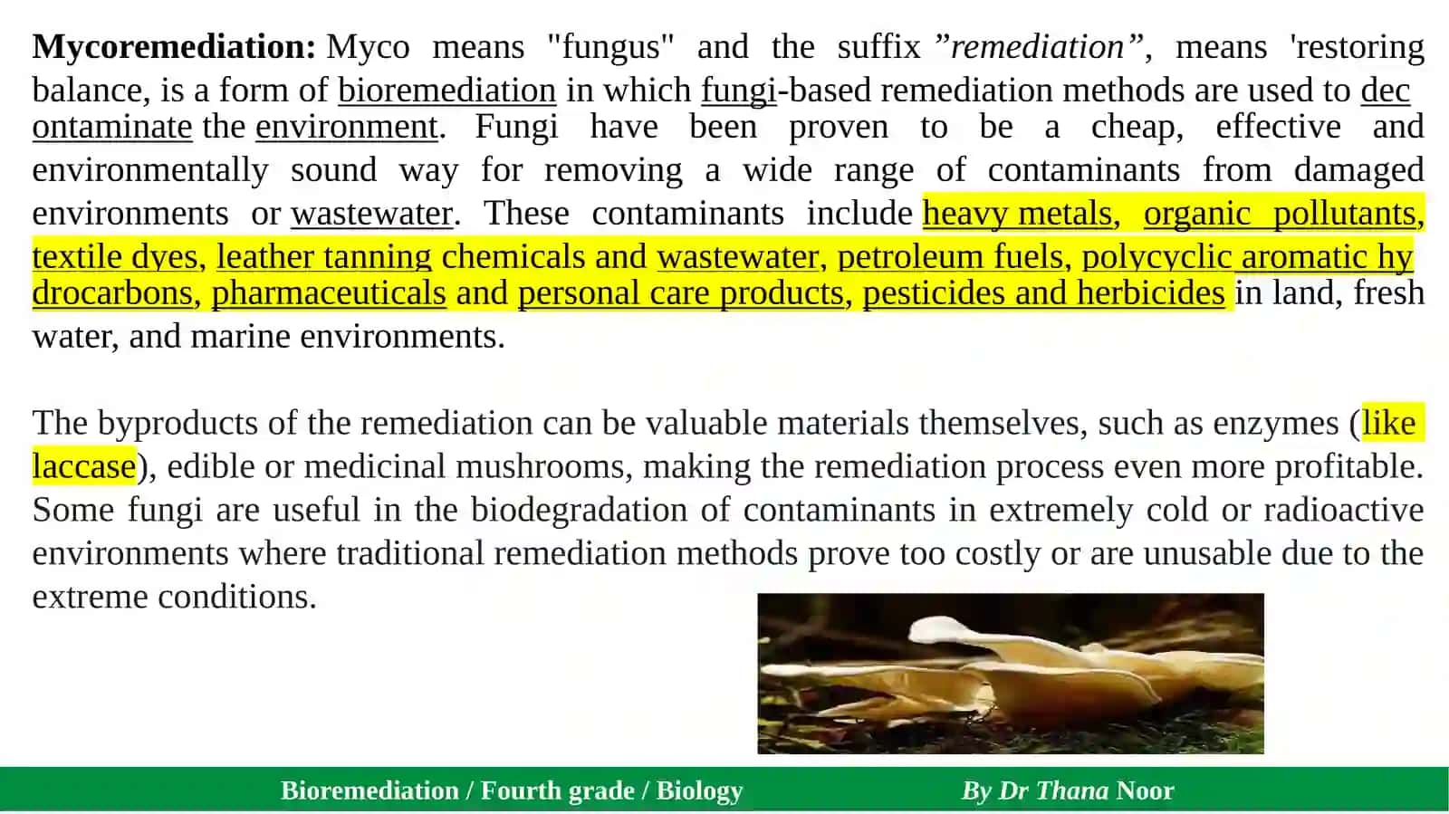 Bioremediation 2