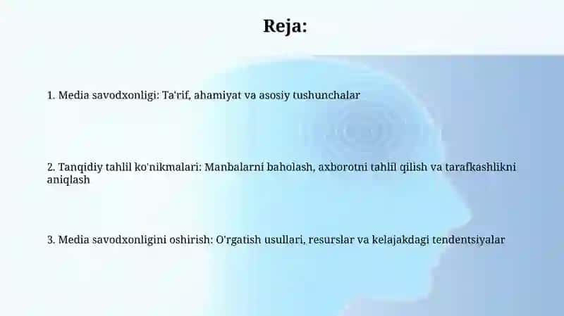 Media savodxonligi 2