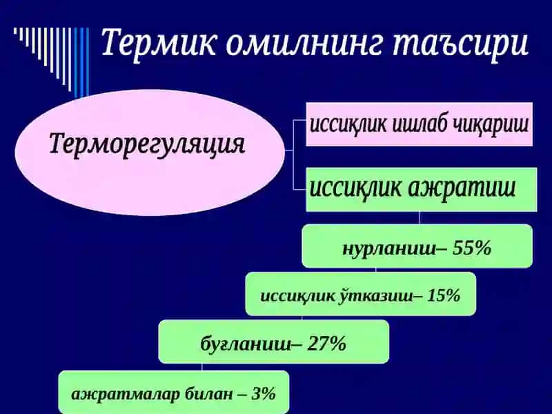 Термик омилнинг таъсири 2