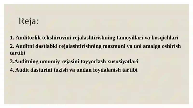 AUDITORLIK TEKSHIRUVINI REJALASHTIRISH 2