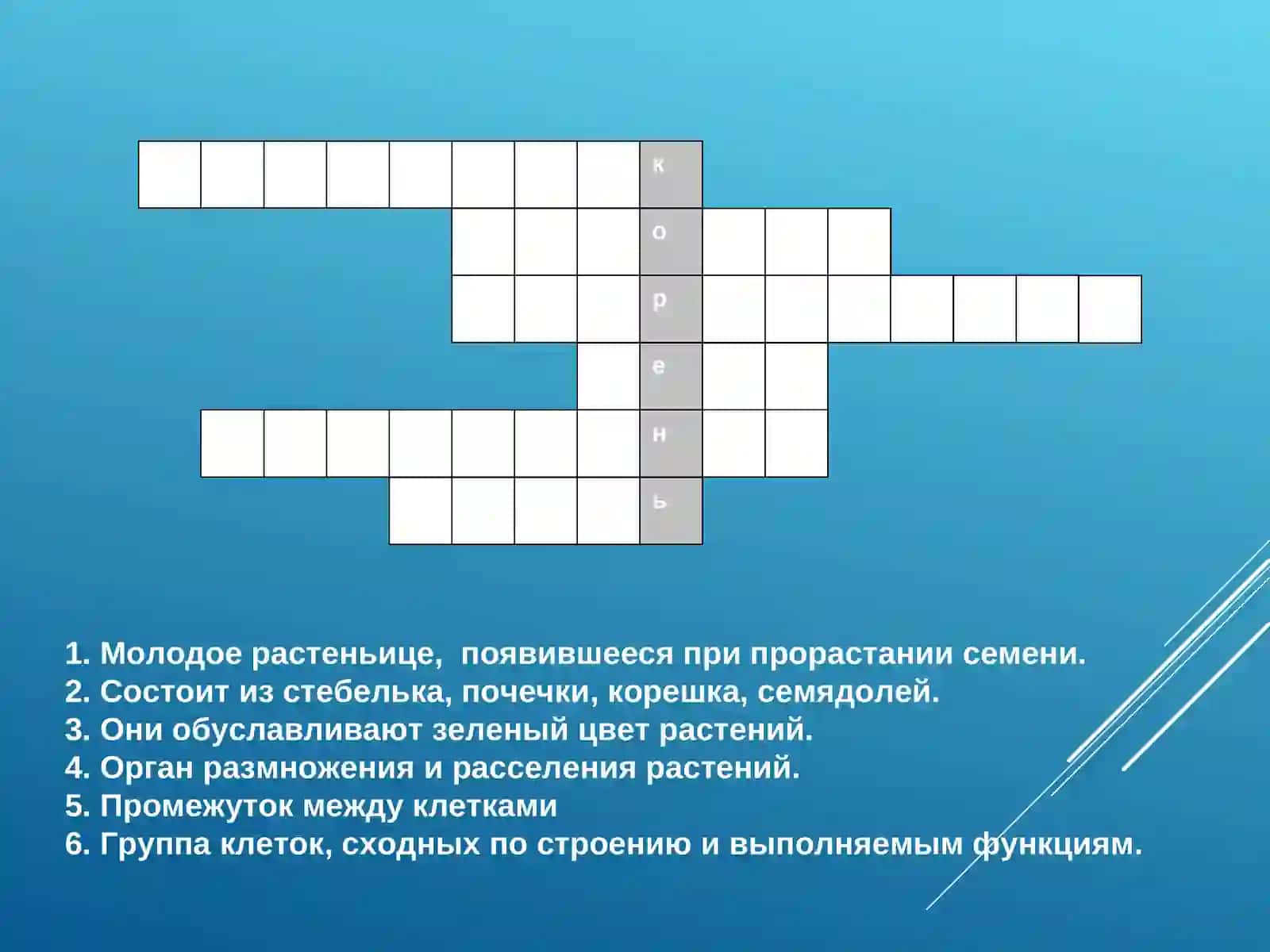 УРОК БИОЛОГИИ6 КЛАСС ПО ТЕМЕ: «КОРЕНЬ» 2