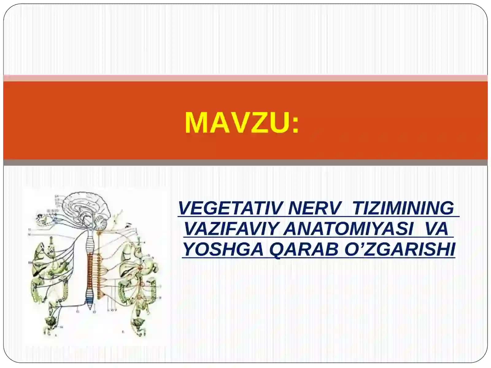 VEGETATIV NERV TIZIMINING VAZIFAVIY ANATOMIYASI VA YOSHGA QARAB O’ZGARISHI 2