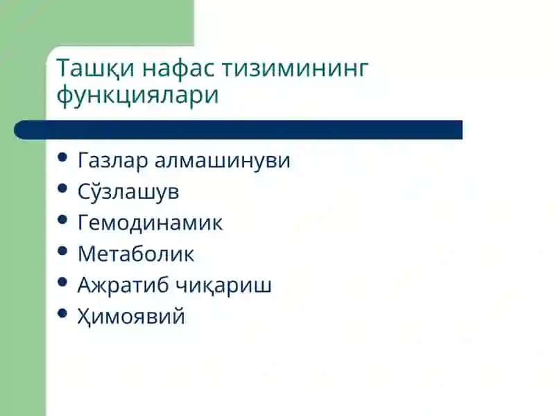 Ташқи нафастизими патофизиологияси 2