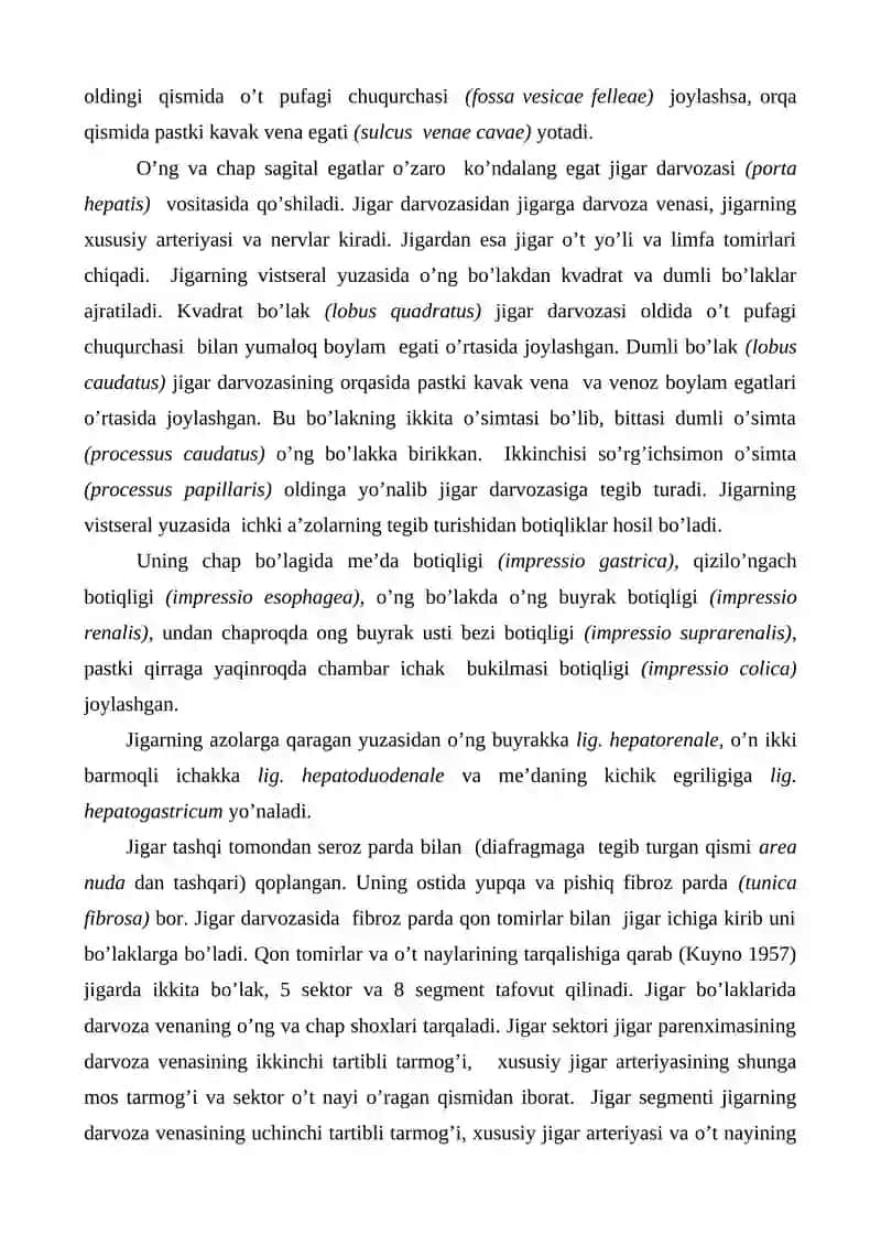 Jigar 2