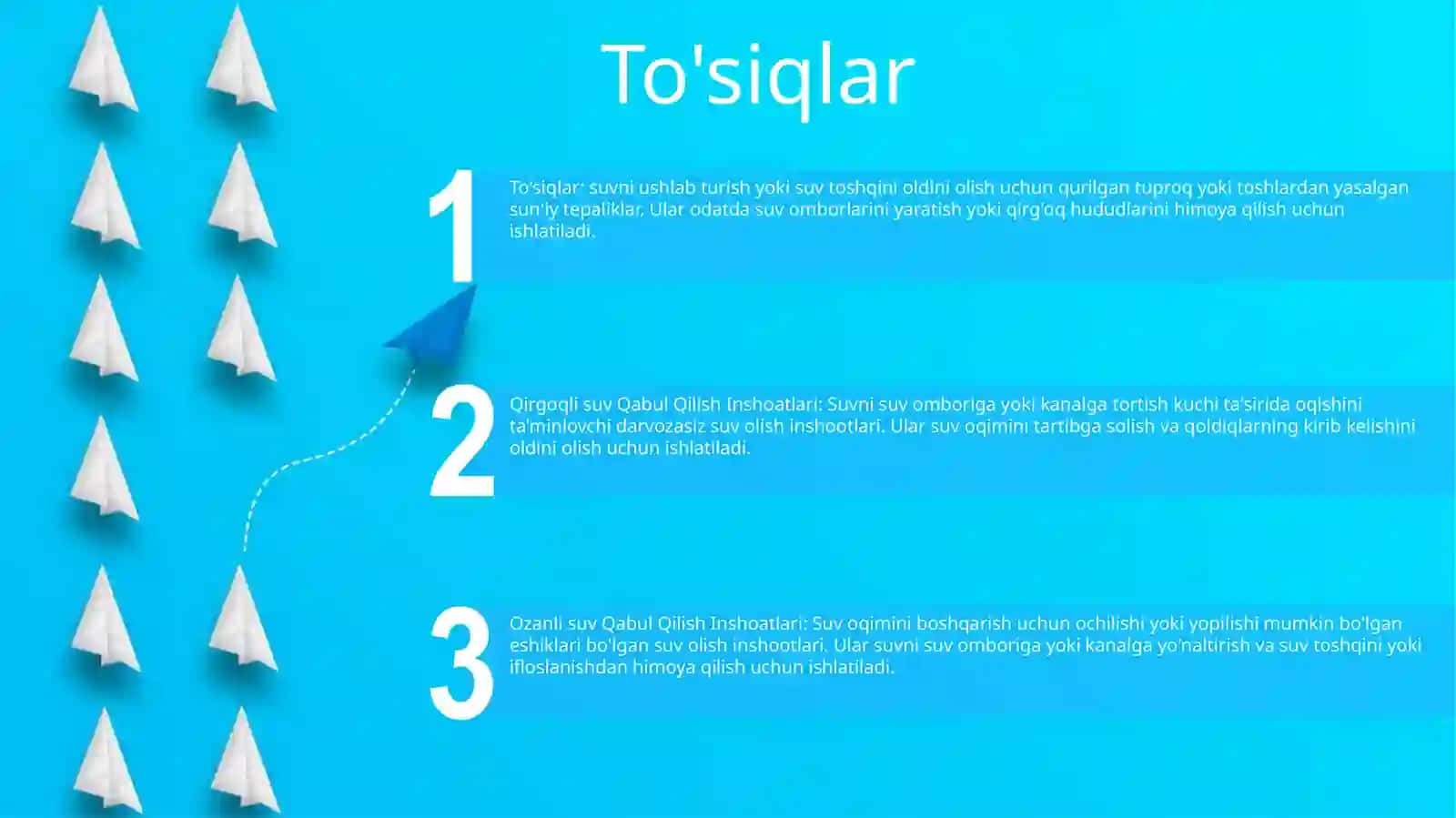 Qirgoqli Va Ozanli Suv Qabul Qilish Inshoatlari 2