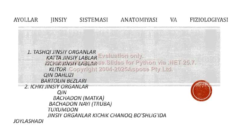 Ayollar jinsiy sistemasi anatomiyasi va fiziologiyasi 2