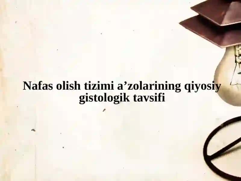 Nafasolish Tizimi 2