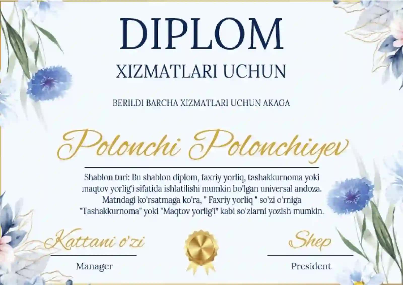 DIPLOM 2