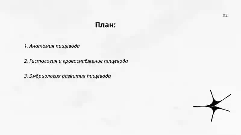 Пищевод 2