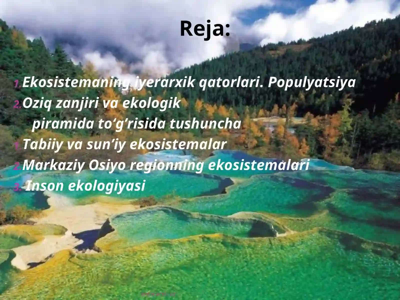 Ekosistemaning iyerarxik qatorlari. Populyatsiya 2