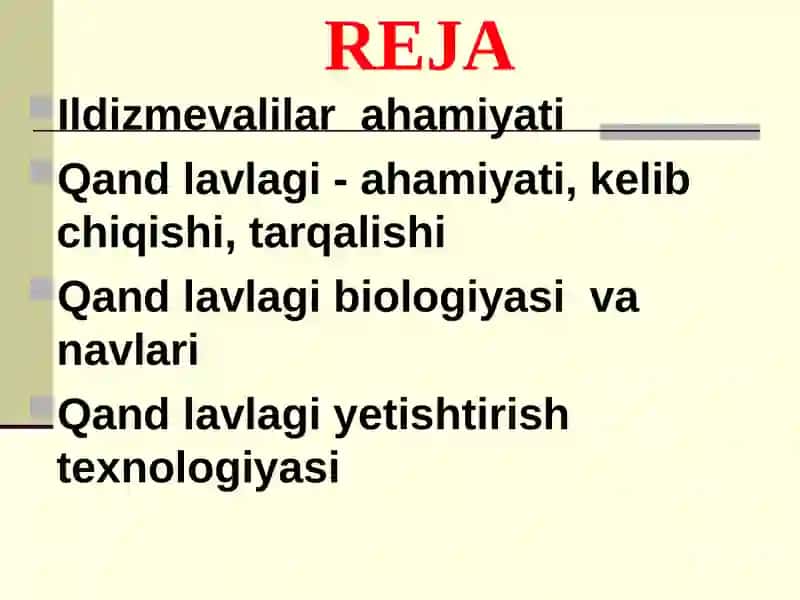Ildizmevalilar ahamiyati 2