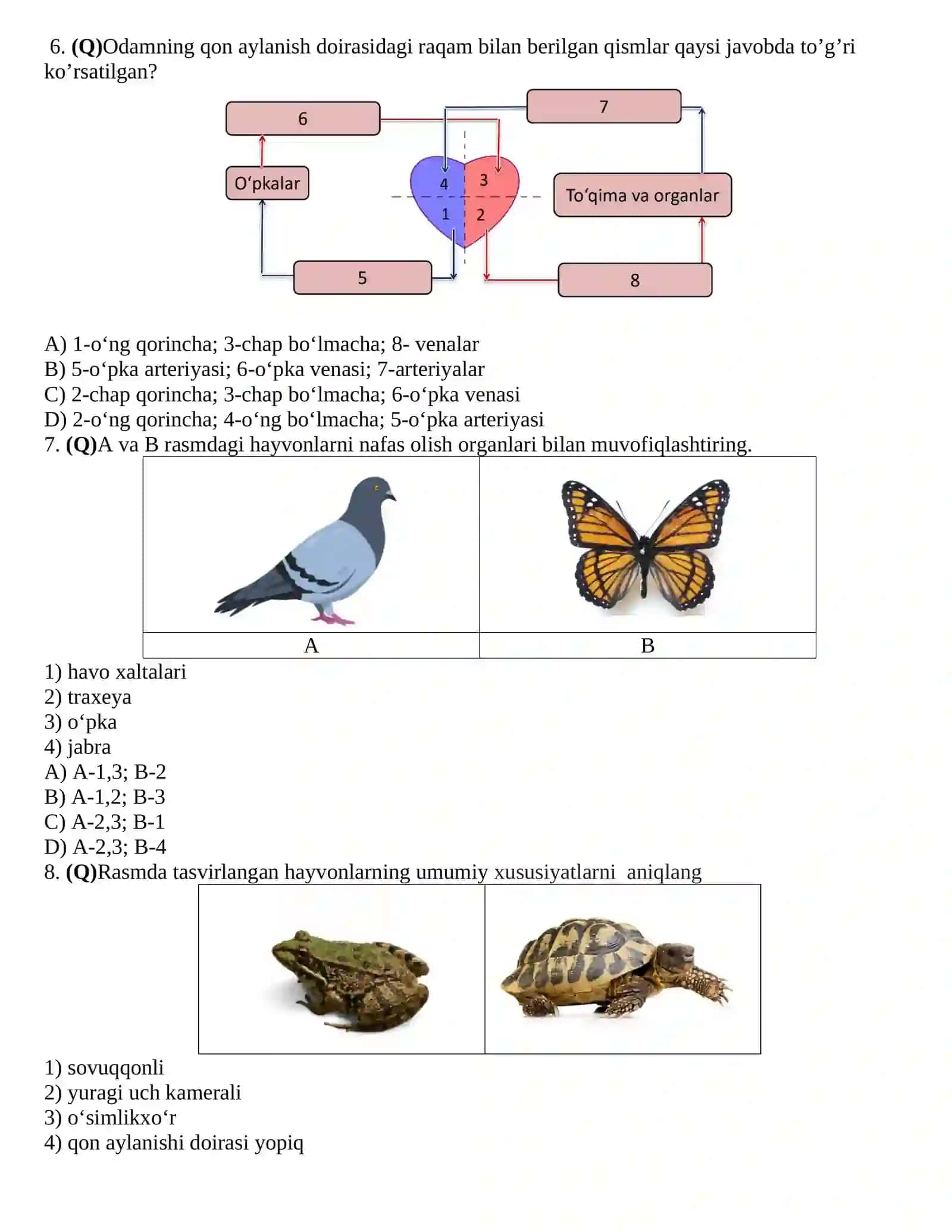 Biologiya 11 sinf 1-variant 2