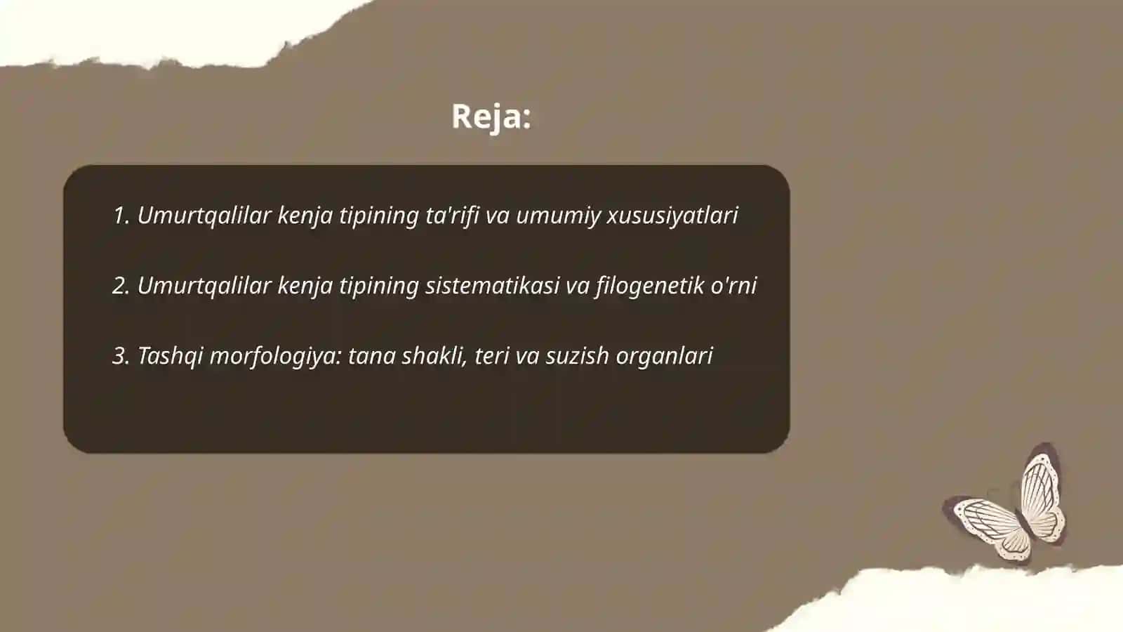 Umurtqalilar kenja tipi 2
