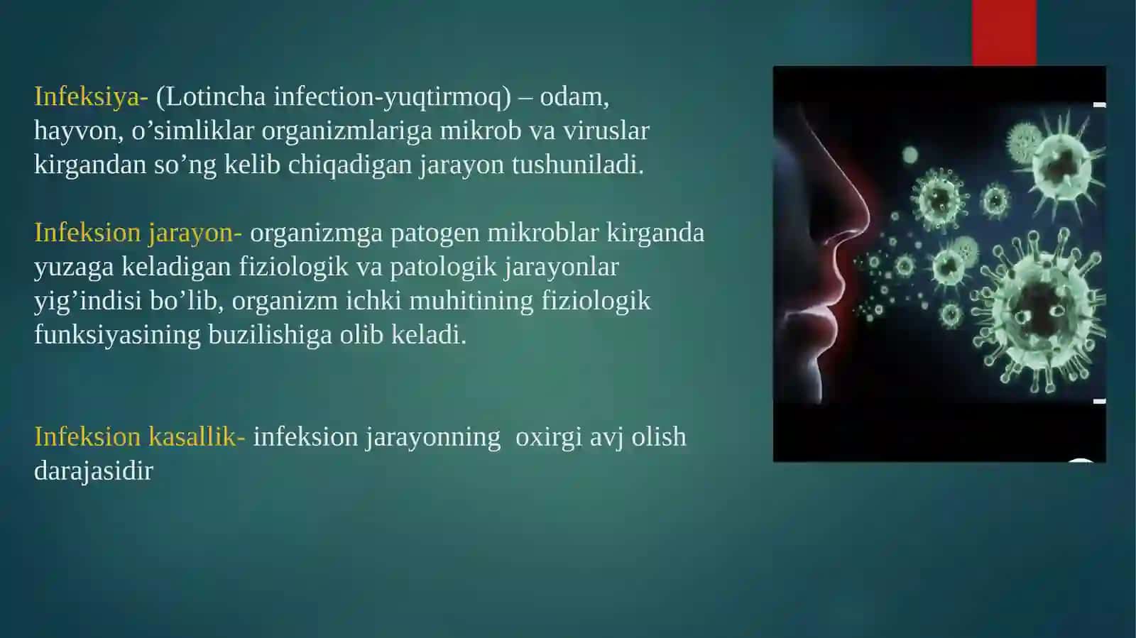 Infeksiyavainfeksionjarayonlar 2