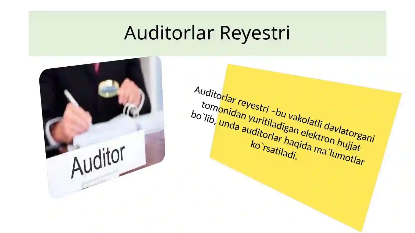 Auditorlar Reyestri 2