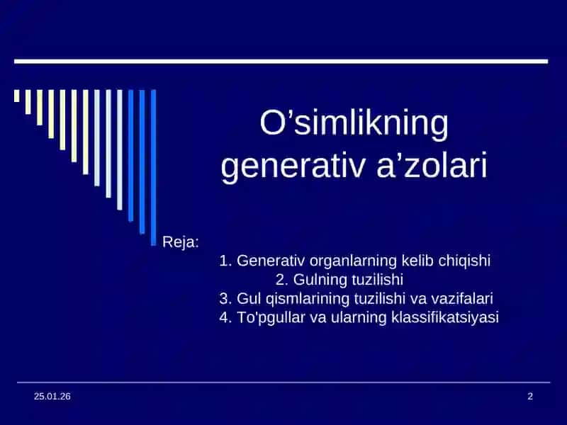 O’simlikning Generativ A’zolari 2
