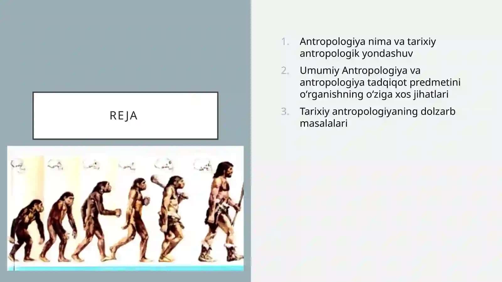 Tarixiy Antropologiya 2