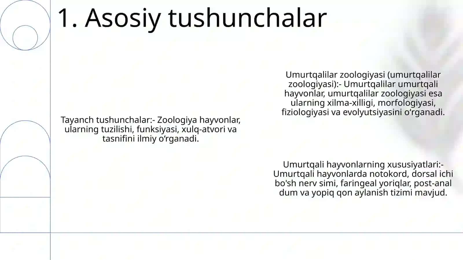 Umurtqalilar Zoologiyasi 2